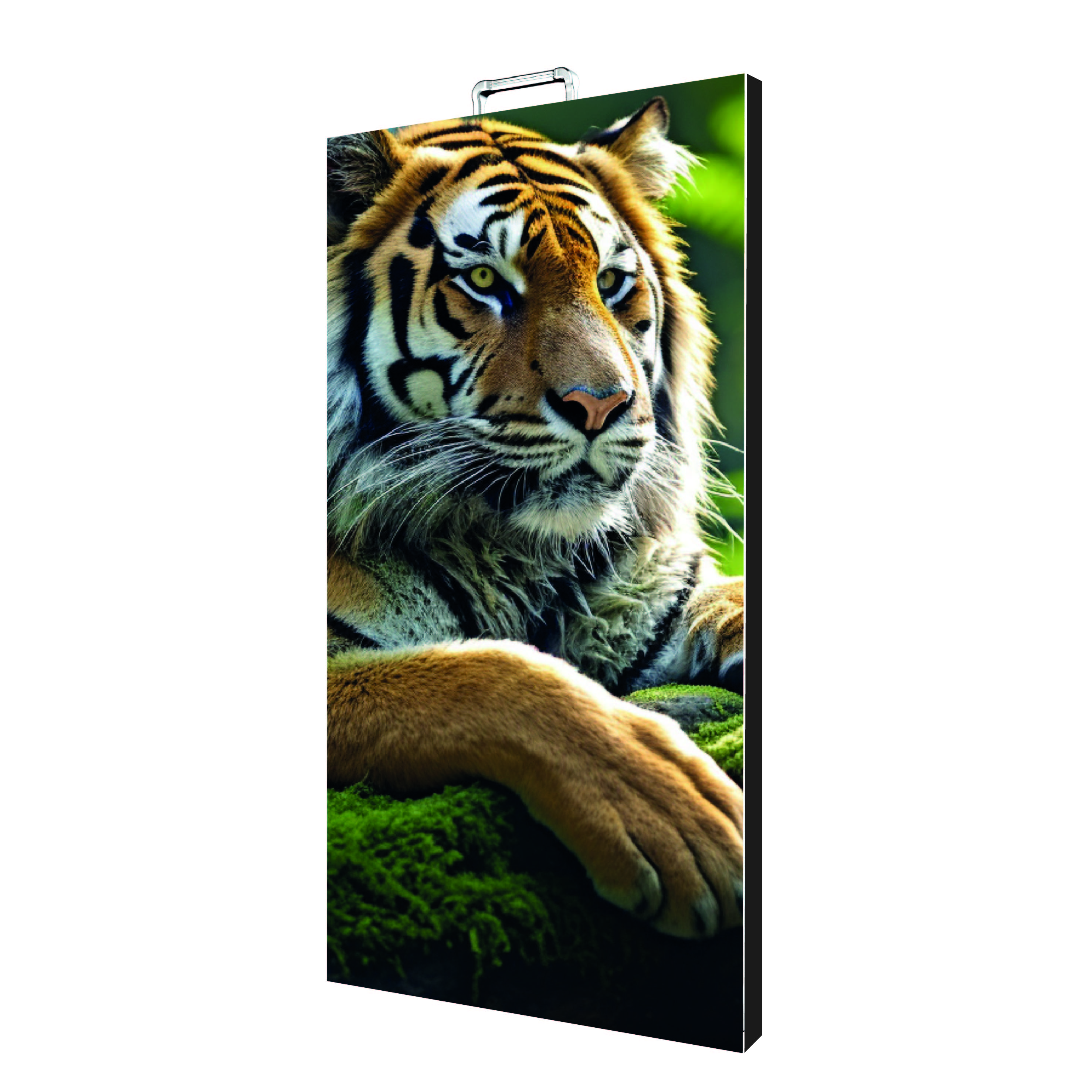 New Lite P3.9 Outdoor (HYBRID)